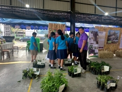 LINE_ALBUM_20269 อนุรักษ์พันธุกรรมพืช_260220_23.jpg - เทศบาลตำบลสันป่าตองได้ดำเนินการจัด โครงการอนุรักษ์พันธุกรรมพืชอันเนื่องมาจากพระราชดำริ สมเด็จพระกนิษฐาธิราชเจ้า กรมสมเด็จพระเทพรัตนราชสุดาฯ สยามบรมราชกุมารี | https://www.sanpatong.go.th